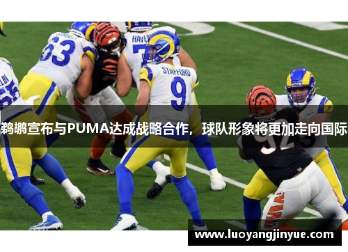 鹈鹕宣布与PUMA达成战略合作，球队形象将更加走向国际